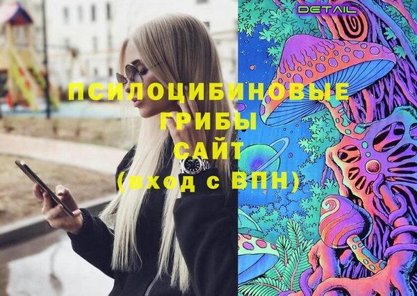 apvp Михайлов