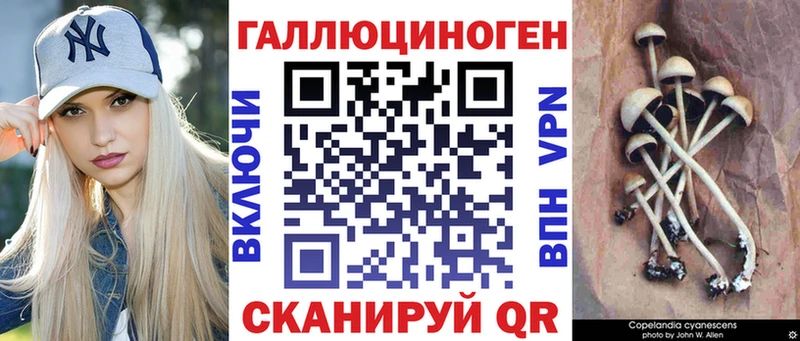 Галлюциногенные грибы MAGIC MUSHROOMS  Купить где  Маркс 